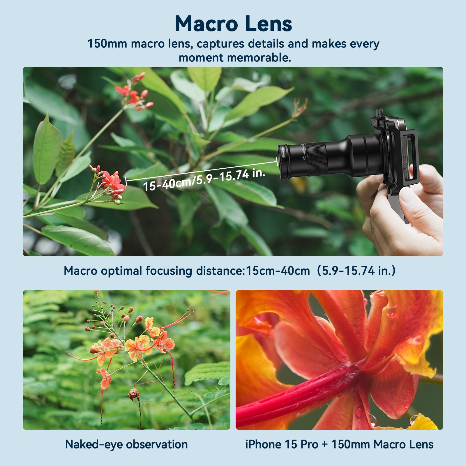 2025/11/1000059520.jpg 1000059520.jpg