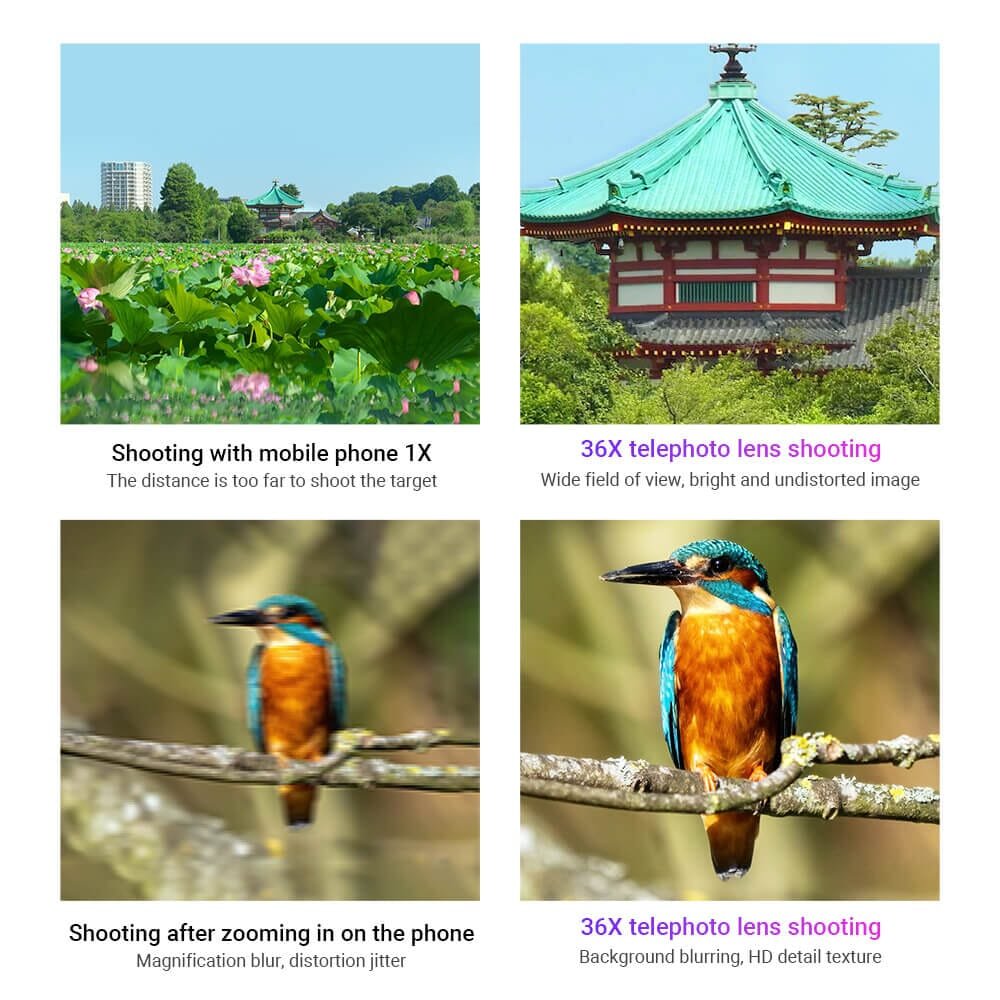 2025/11/1000088704.jpg 1000088704.jpg