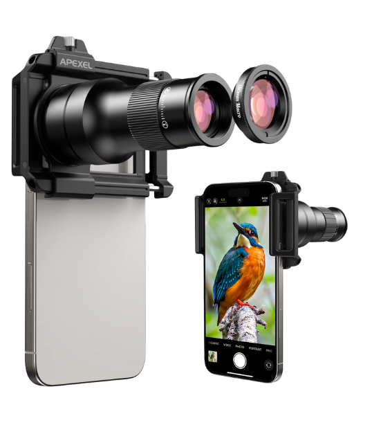 untitled design 538x614 (4)